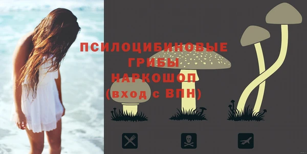 винт Алексин