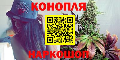 мдпв Нальчик