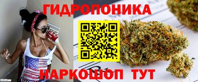 мдпв Нальчик