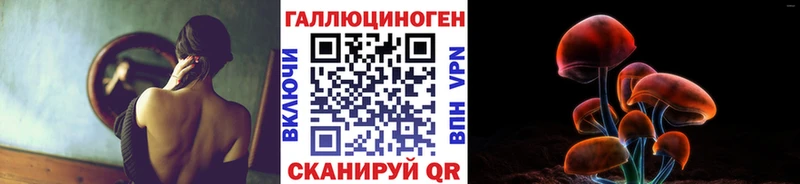 kraken сайт продажа наркотиков Волхов Псилоцибиновые грибы MAGIC MUSHROOMS