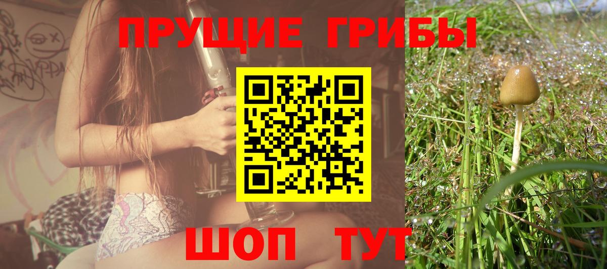 Волхов  закладка  Вход с VPN  Галлюциногенные грибы ЛСД 