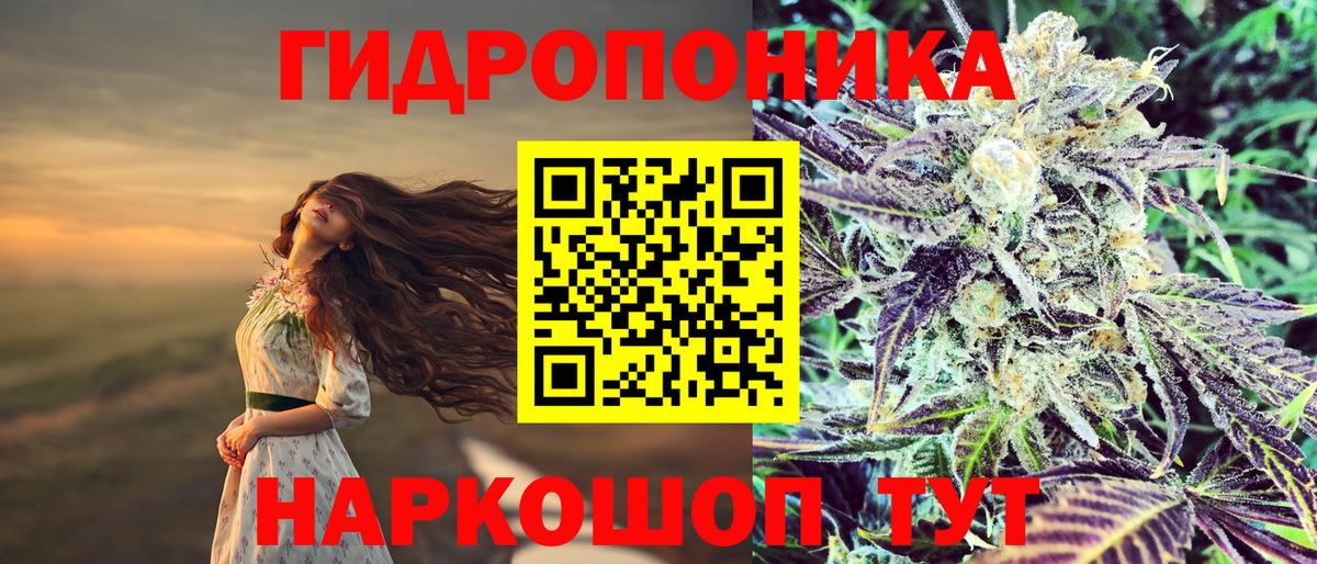 Волхов  Каннабис AK-47  Канабис индика  Вход с VPN 